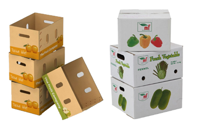 Srinath Multi Pack